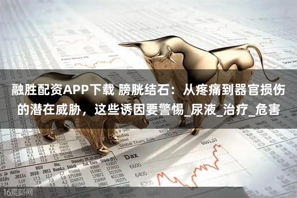 融胜配资APP下载 膀胱结石：从疼痛到器官损伤的潜在威胁，这些诱因要警惕_尿液_治疗_危害